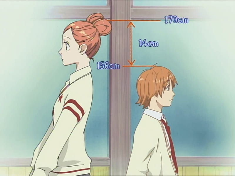lovely complex anime height difference