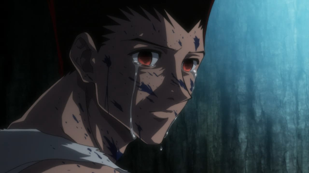 adult gon hunterxhunter